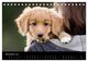 Thumbnail-13