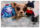 Thumbnail-13