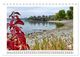 Thumbnail-14