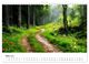 Thumbnail-8