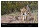 Thumbnail-10