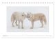 Thumbnail-14