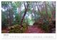 Thumbnail-9