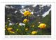 Thumbnail-9