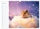 Thumbnail-12