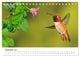 Thumbnail-14
