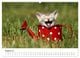 Thumbnail-12