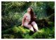 Thumbnail-14