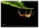 Thumbnail-12