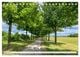 Thumbnail-14
