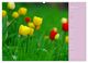 Thumbnail-9