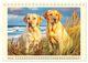 Thumbnail-12