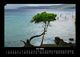 Thumbnail-10
