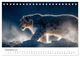 Thumbnail-14