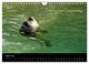 Thumbnail-9