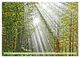Thumbnail-11