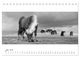 Thumbnail-11