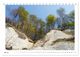 Thumbnail-10