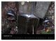 Thumbnail-10