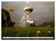 Thumbnail-12