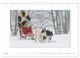 Thumbnail-12