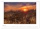 Thumbnail-10
