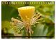 Thumbnail-14