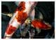 Thumbnail-12
