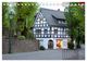 Thumbnail-4