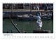 Thumbnail-14