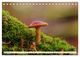 Thumbnail-14