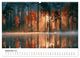 Thumbnail-14