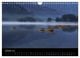 Thumbnail-12