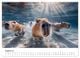 Thumbnail-12