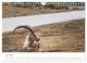 Thumbnail-10