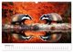 Thumbnail-12
