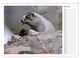 Thumbnail-12