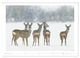 Thumbnail-14