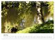 Thumbnail-8