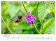 Thumbnail-10