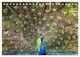 Thumbnail-10