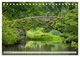 Thumbnail-11