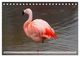 Thumbnail-11