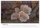 Thumbnail-12