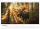 Thumbnail-11