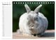 Thumbnail-12