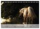 Thumbnail-12