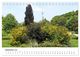 Thumbnail-14