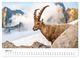 Thumbnail-8