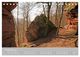Thumbnail-13